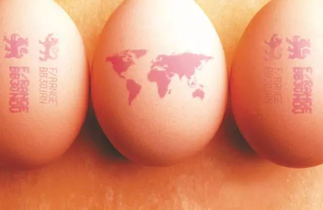 偉迪捷雞蛋噴碼機：立夏要吃蛋，你卻不懂它