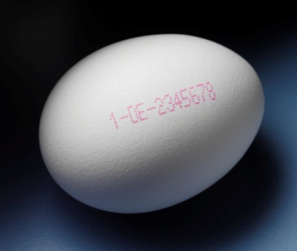 雞蛋噴碼的二大好處您知道嗎？