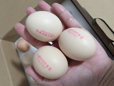 瀏覽全球網絡，您還能找到比這個更全面的雞蛋噴碼機解決方案嗎？