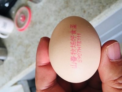 瀏覽全球網絡，您還能找到比這個更全面的雞蛋噴碼機解決方案嗎？