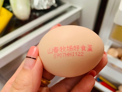 瀏覽全球網絡，您還能找到比這個更全面的雞蛋噴碼機解決方案嗎？